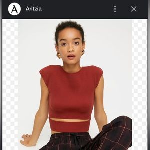 Aritzia Wilfred Cut Out Knit Top XXS